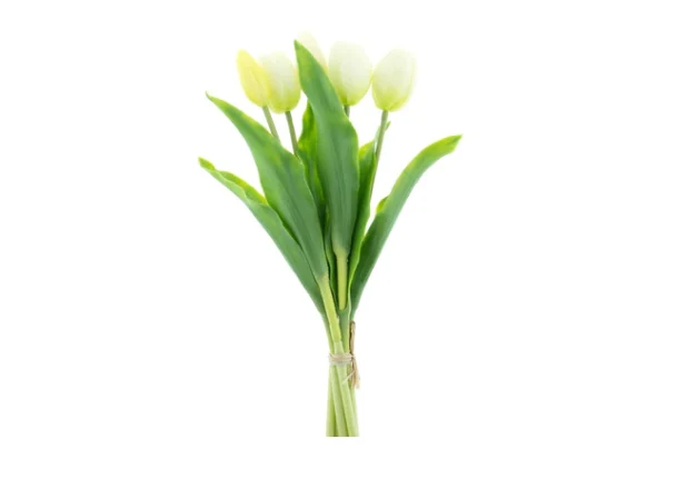 Real Touch Holland Tulip bundle Sally X5 cream 36cm