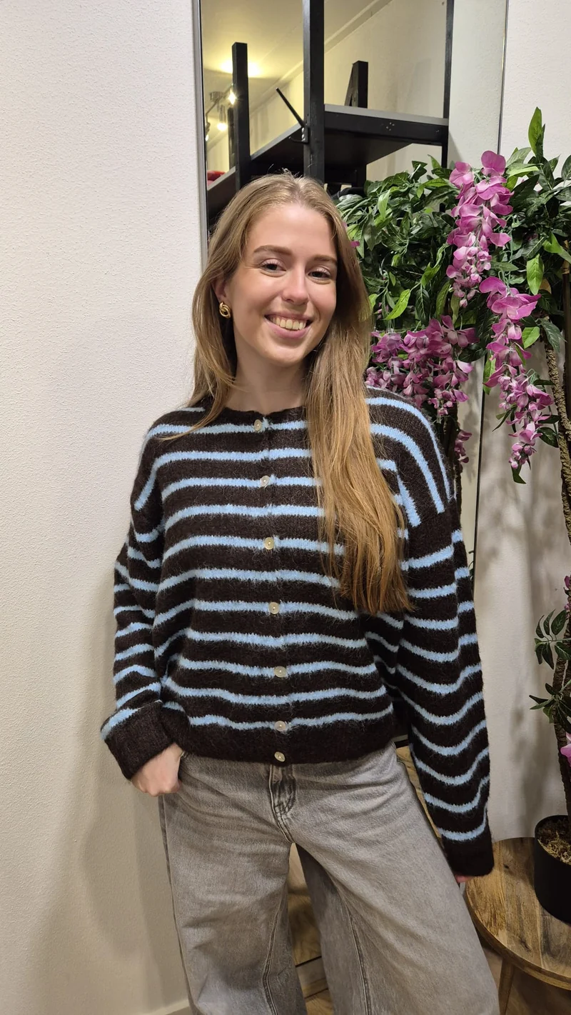 TbD vest streep Bruin/lichtblauw