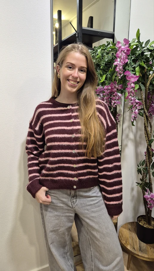 TbD vest streep Bordeaux/roze