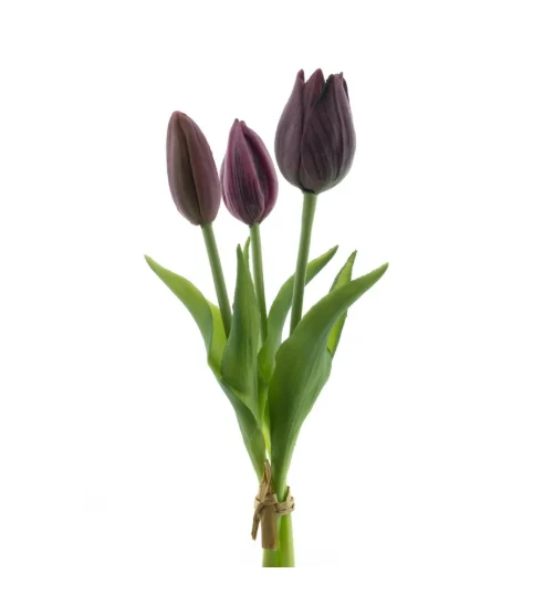 Real Touch Holland Tulip bundle Sally x3 aubergine 25cm
