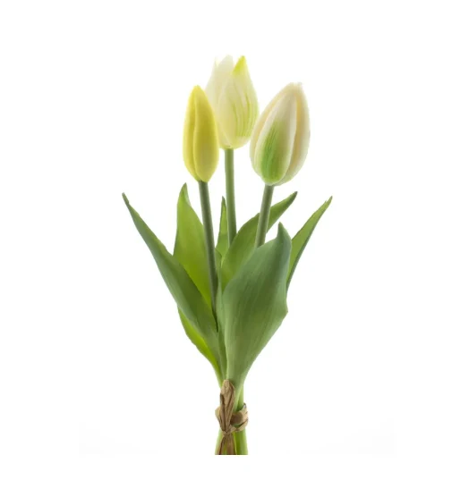 Real Touch Holland Tulip bundle Sally x3 cream 25cm