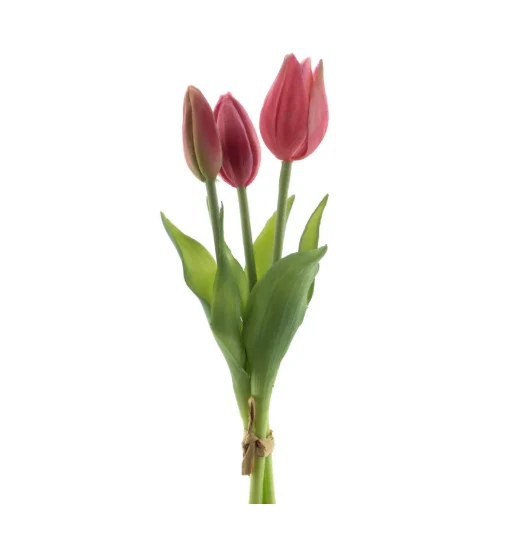 Real Touch Holland Tulip bundle Sally x3 beauty 25cm