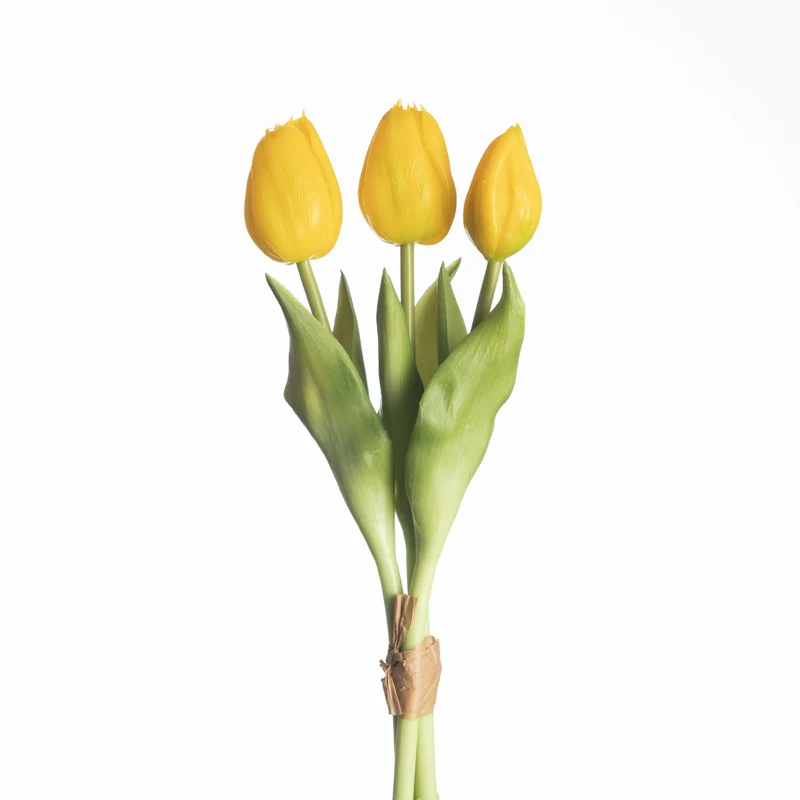 Tulip Bundle x3 L30cm Yellow