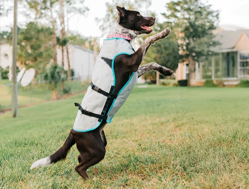 Dry-Cooling Vest