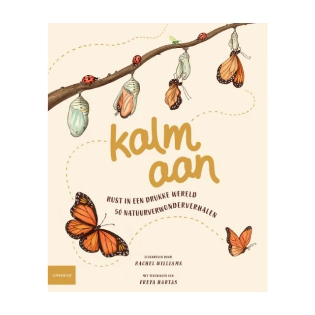 Kalm aan