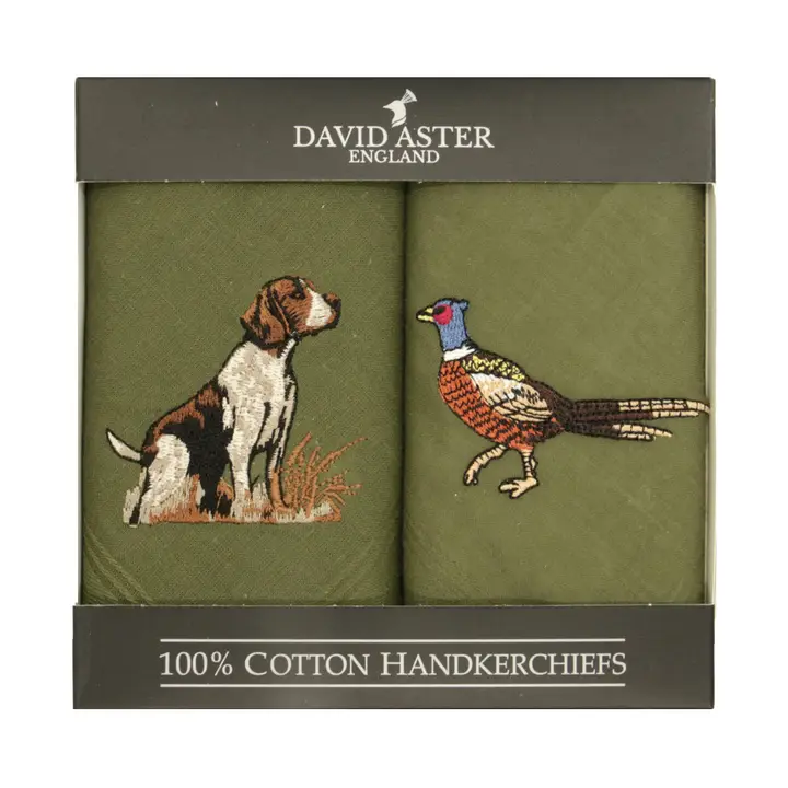 David Aster zakdoeken, hond en fazant
