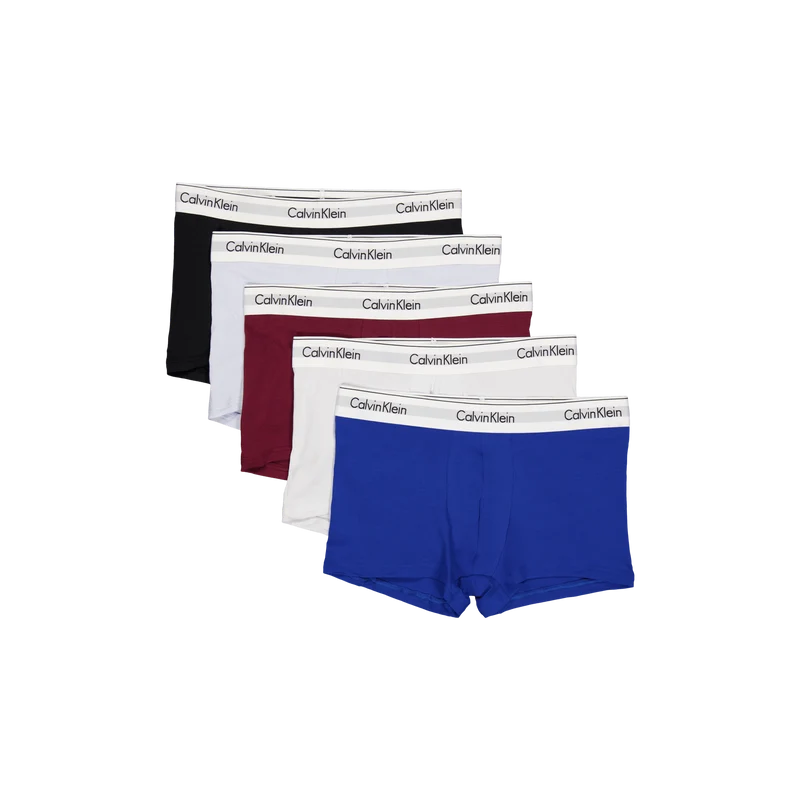Modern Cs Holiday Trunk 5pk Multi