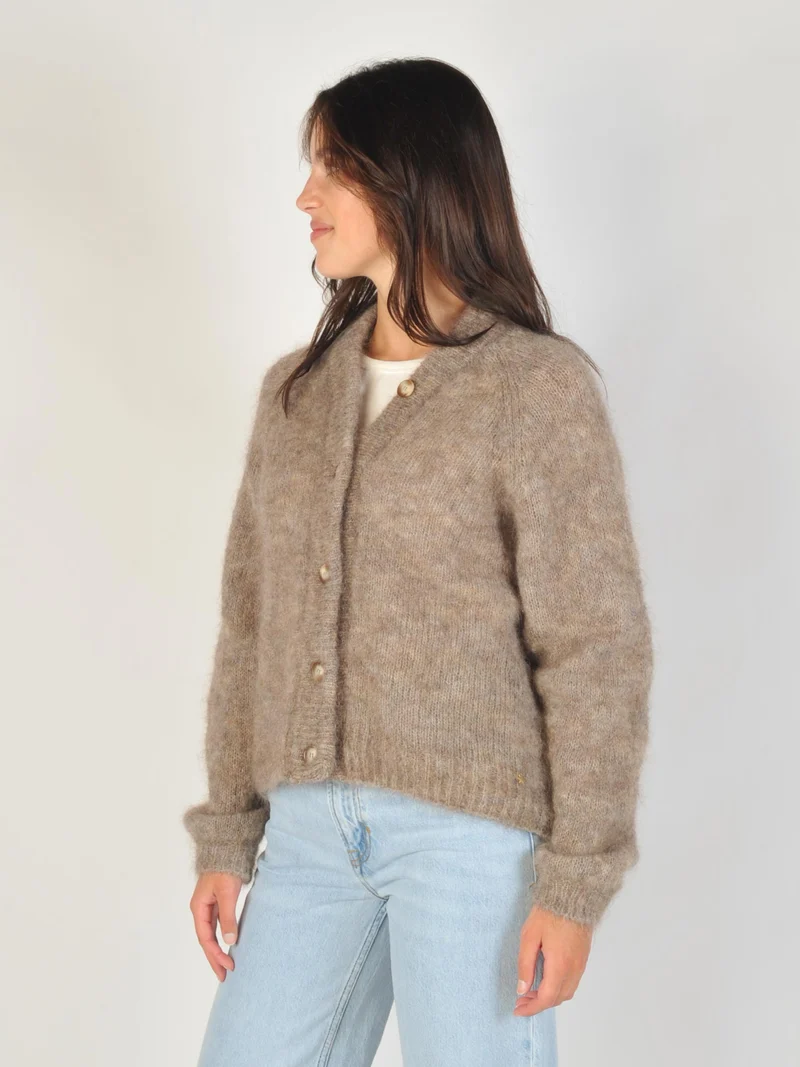 Bruin vest alanis