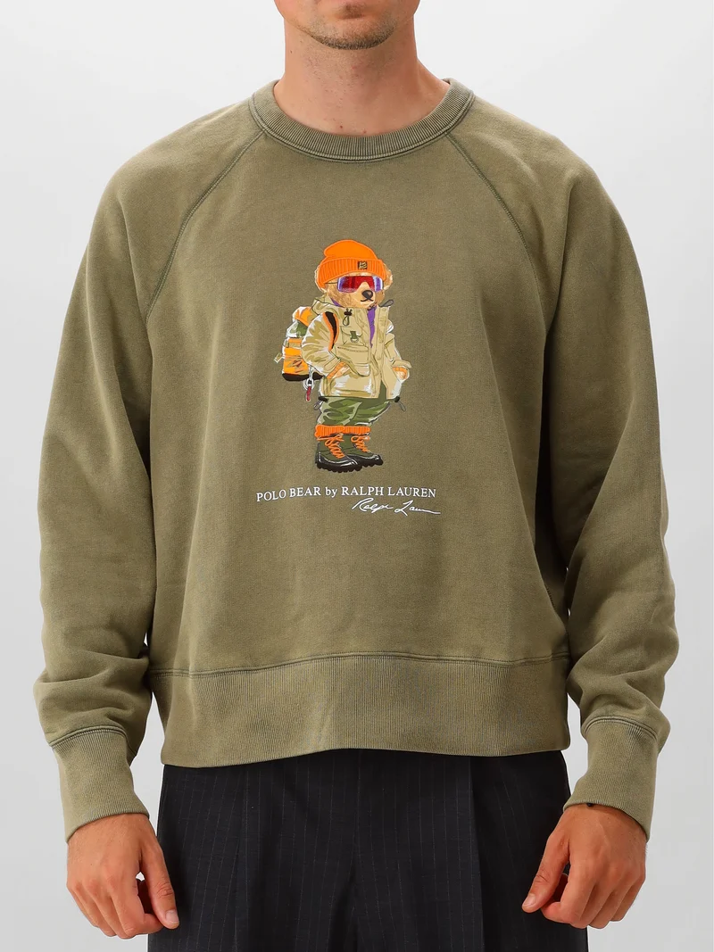 Polo Ralph Lauren Sweater Groen
