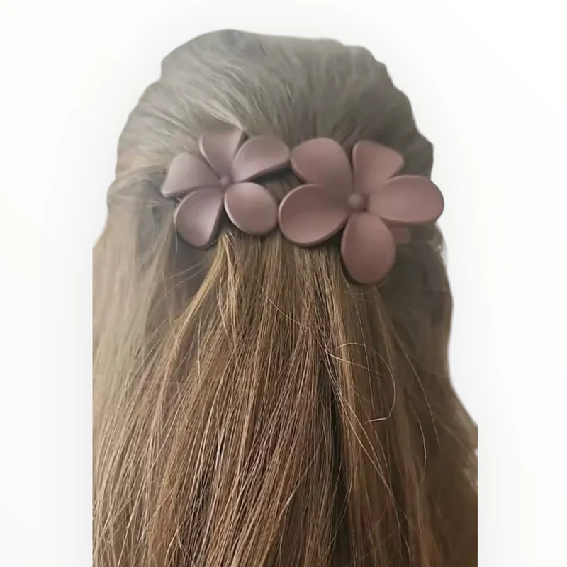 Haarklem summer flowers bruin