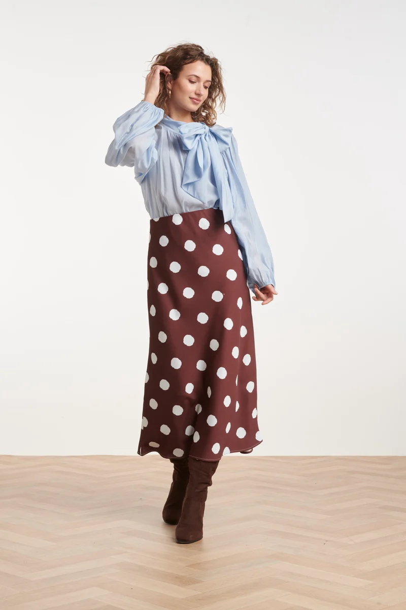 Midi Rok Met Speelse Stippenprint | Brown - Light Blue