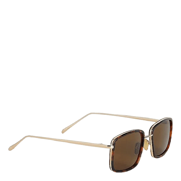 Aldo Demi Tortoise