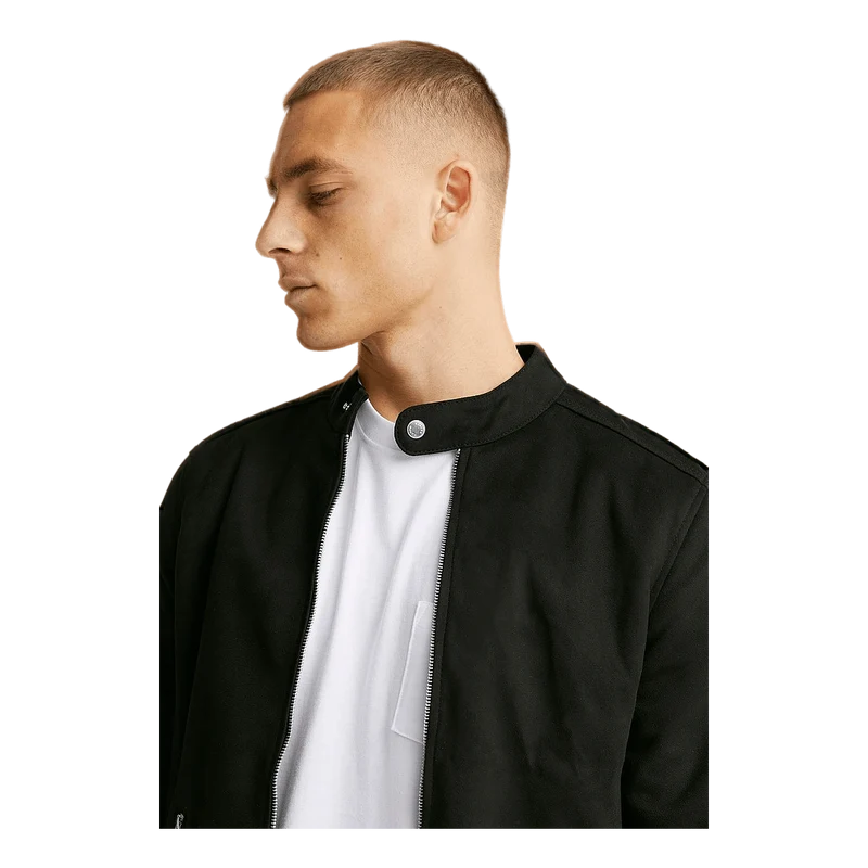 George Vegan 102