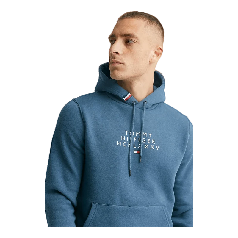 Tommy Hilfiger Centre Graphic Hoody Da4