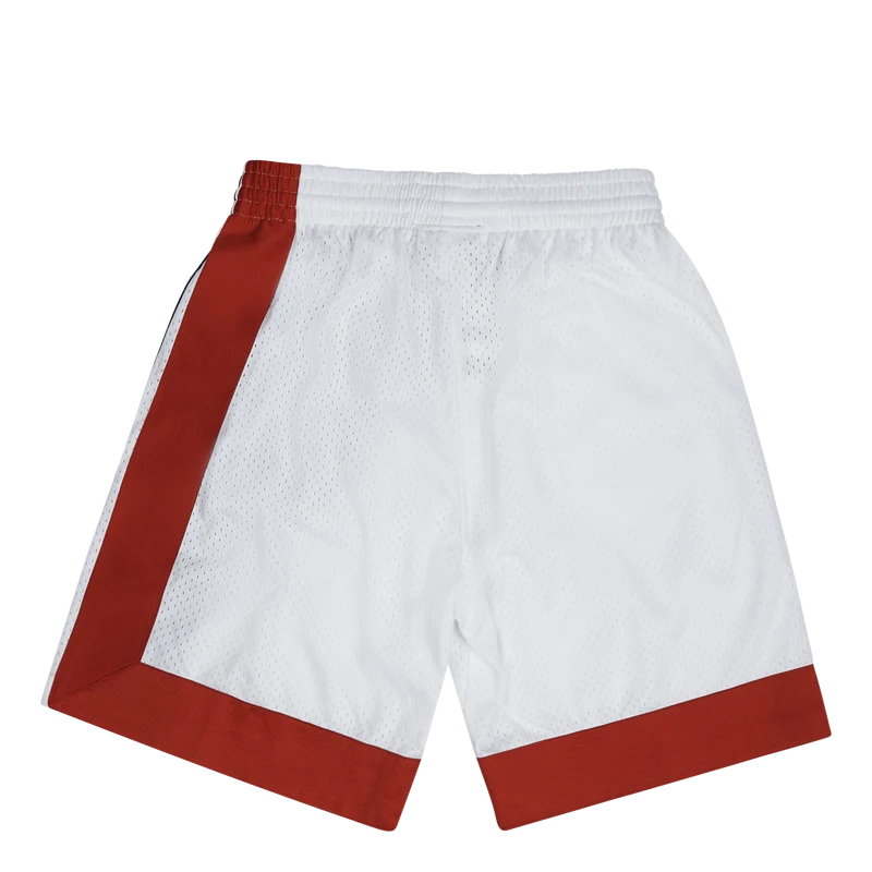Nets Swingman Shorts 73-74